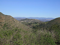 ElfinForest-24DEC04-04.jpg (132479 bytes)