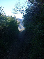 HardingHJ-23DEC02-39.jpg (73037 bytes)