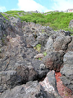 MtFuji-27JUN04-29.JPG (195582 bytes)
