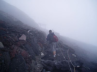 Photo Courtesy of Drew