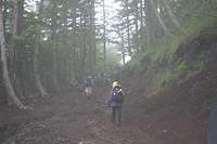 Photo Courtesy of Rafael