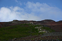 Photo Courtesy of Rafael