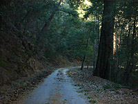 NHG-12JAN03-11.jpg (82175 bytes)