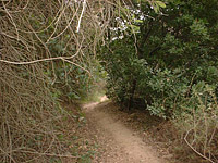 Santiago-JoplinTruckTrail-Luge-19JAN01-23-Luge-7.JPG (215821 bytes)